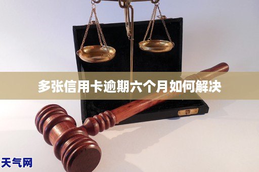 bg大游娱乐多张信用卡逾期六个月如何解决